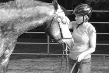 Pegasus Freedom Reins Ohio - Horse Assisted Therapy and Agricultural Job Skill Training